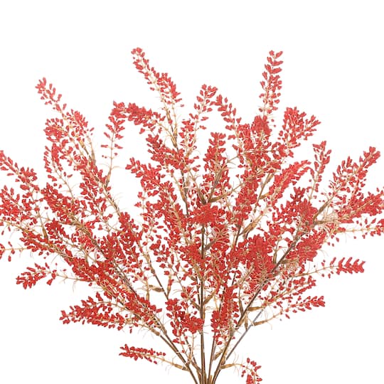 19" Berry Bush by Ashland